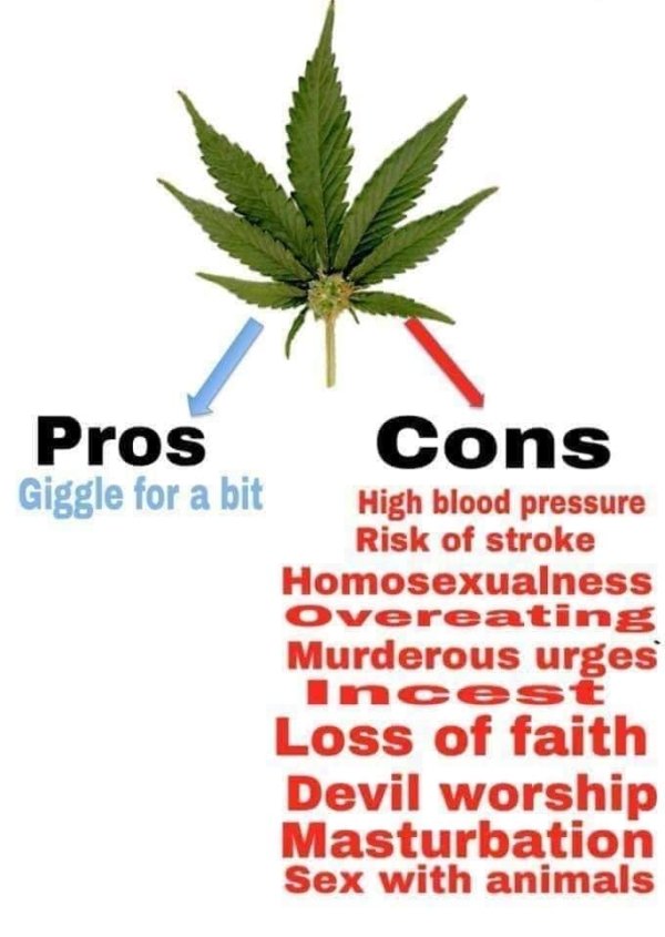weed is dangerous - Pros Cons Giggle for a bit High blood pressure Risk of stroke Homosexualness Overeating Murderous urges Incest Loss of faith Devil worship Masturbation Sex with animals