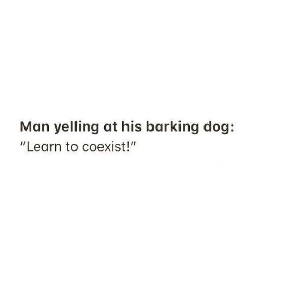 aesthetic black and white quotes - Man yelling at his barking dog "Learn to coexist!"