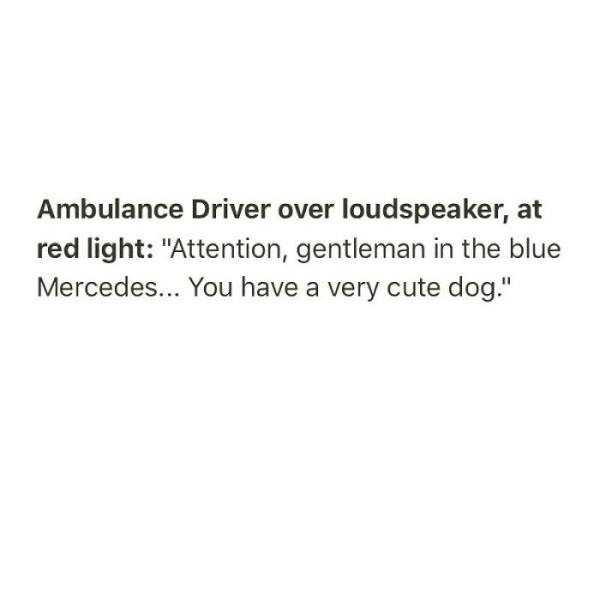 middle of the night quotes - Ambulance Driver over loudspeaker, at red light "Attention, gentleman in the blue Mercedes... You have a very cute dog."