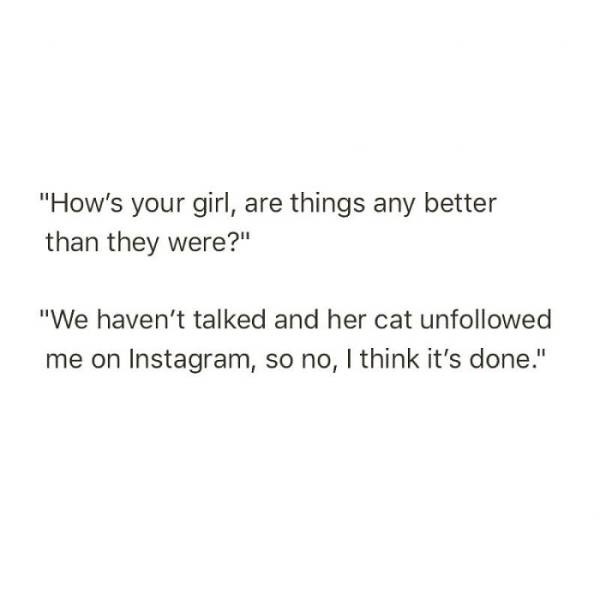 Girlfriend - "How's your girl, are things any better than they were?" "We haven't talked and her cat uned me on Instagram, so no, I think it's done."