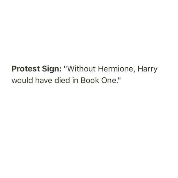 its officially once im home i aint coming back out season - Protest Sign "Without Hermione, Harry would have died in Book One."