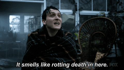 smells in here gif - It smells rotting death in here. Fox