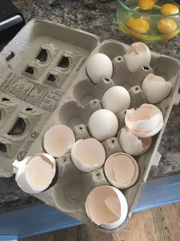 eggs in a half carton