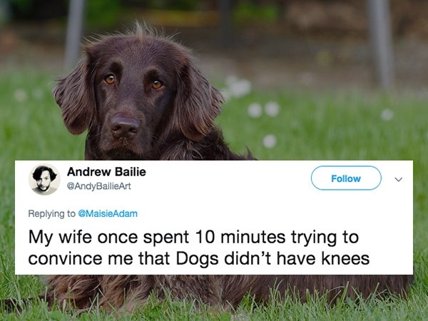 lies people have told - grass - Andrew Bailie BailieArt My wife once spent 10 minutes trying to convince me that Dogs didn't have knees