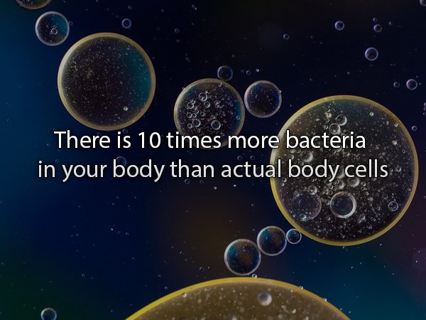 cells in space - There is 10 times more bacteria in your body than actual body cells