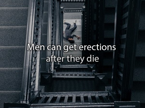 Death - Men can get erections after they die