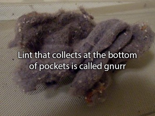 mineral - Lint that collects at the bottom of pockets is called gnurr