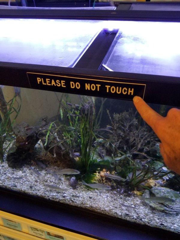 aquarium - Please Do Not Touch
