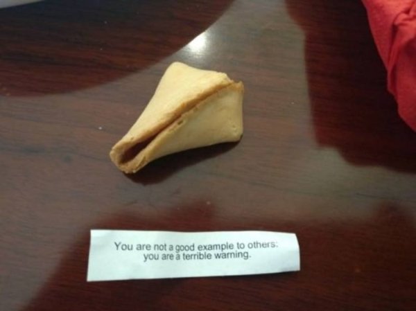 misfortune cookie example - You are not a good example to others. you are a terrible warning.