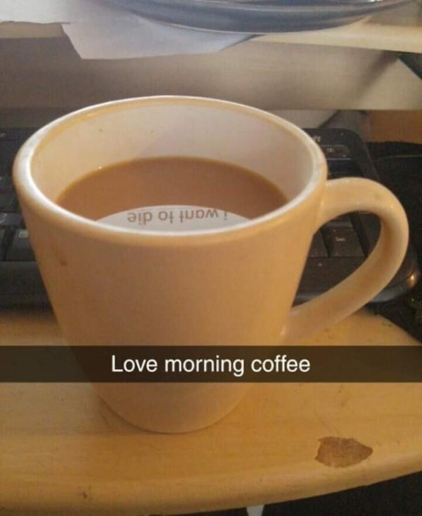 love morning coffee meme - Love morning coffee i want to die