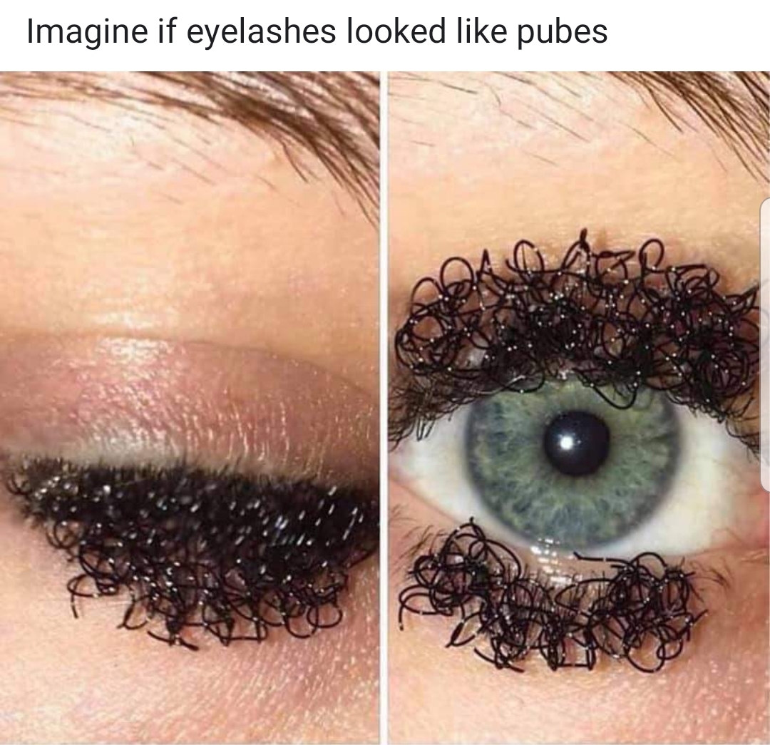memes - Humour - Imagine if eyelashes looked pubes