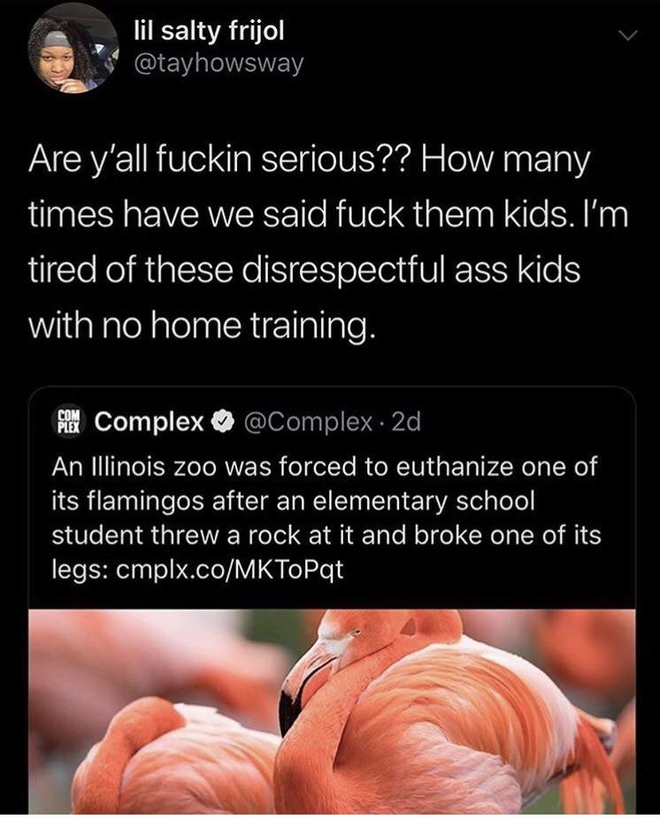 black twitter - photo caption - lil salty frijol Are y'all fuckin serious?? How many times have we said fuck them kids. I'm tired of these disrespectful ass kids with no home training. Com Complex . 2d, An Illinois zoo was forced to euthanize one of its f