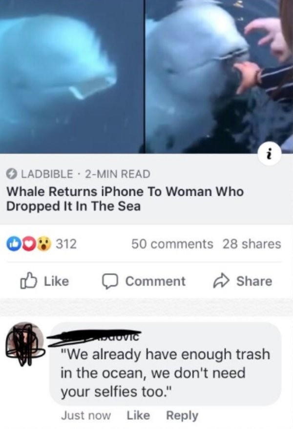 dolphin - Ladbible 2Min Read Whale Returns iPhone To Woman Who Dropped It In The Sea 00% 312 50 28 a Comment Juovic "We already have enough trash in the ocean, we don't need your selfies too." Just now