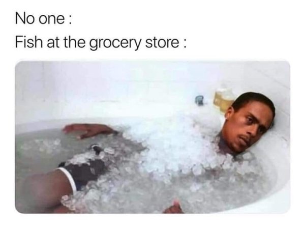 no one memes - No one Fish at the grocery store