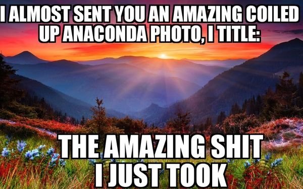 nature - I Almost Sent You An Amazing Coiled Up Anaconda Photo, I Title The Amazing Shit I Just Took
