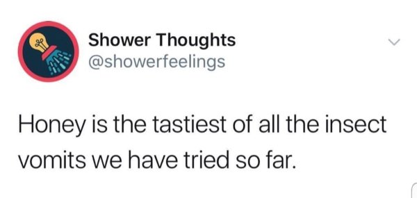 Shower Thoughts Honey is the tastiest of all the insect vomits we have tried so far.