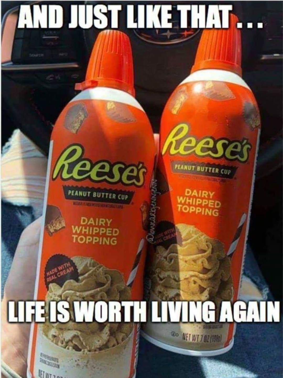whipped cream memes - And Just That... heeses Reese's Peanut Butter Cup Peanut Butter Cup WowcasoENNINN Dairy Whipped Topping Dairy Whipped Topping Life Is Worth Living Again Do Netwit.021583 Vt Vt 21