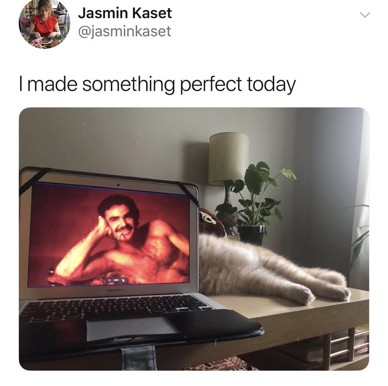 burt reynolds cat - Jasmin Kaset Imade something perfect today