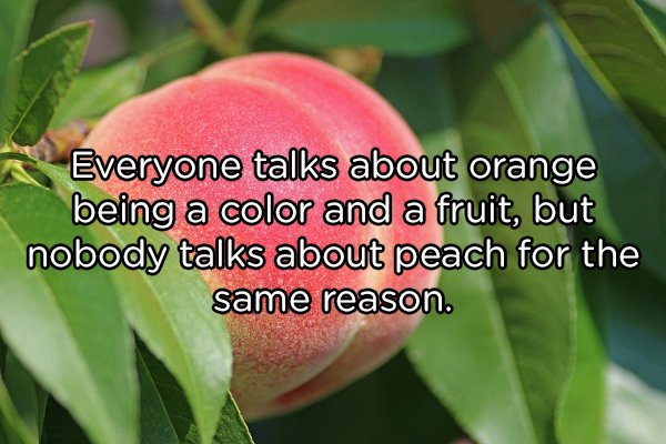 21 Shower thoughts to tickle your brain.