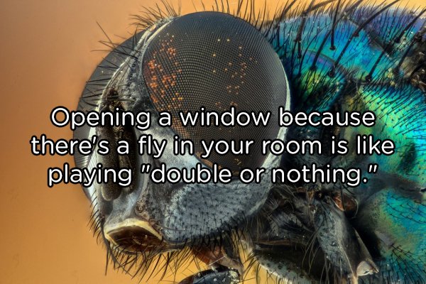 21 Shower thoughts to tickle your brain.