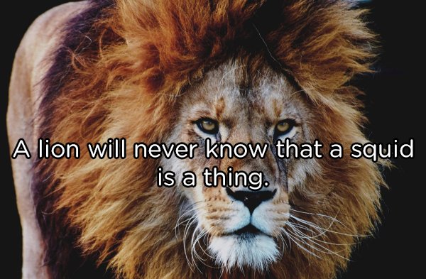 21 Shower thoughts to tickle your brain.