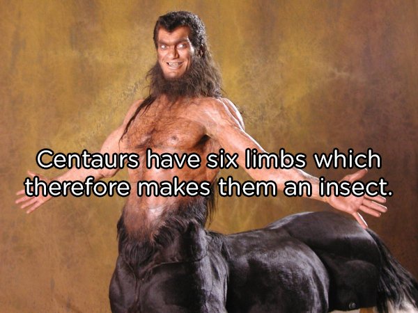 21 Shower thoughts to tickle your brain.