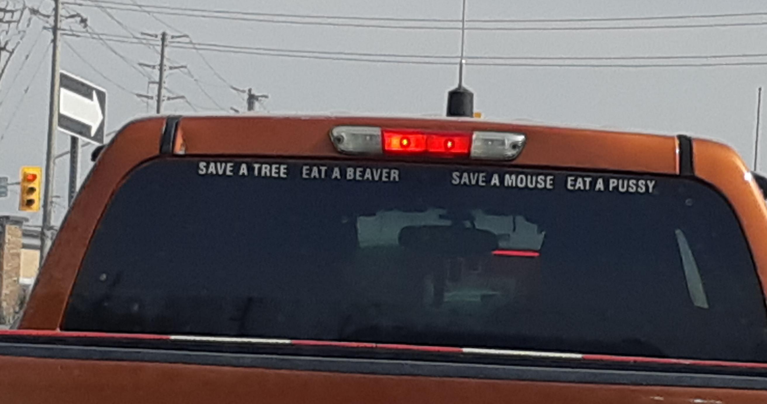 windshield - Save A Tree Eat A Beaver Save A Mouse Eat A Pussy