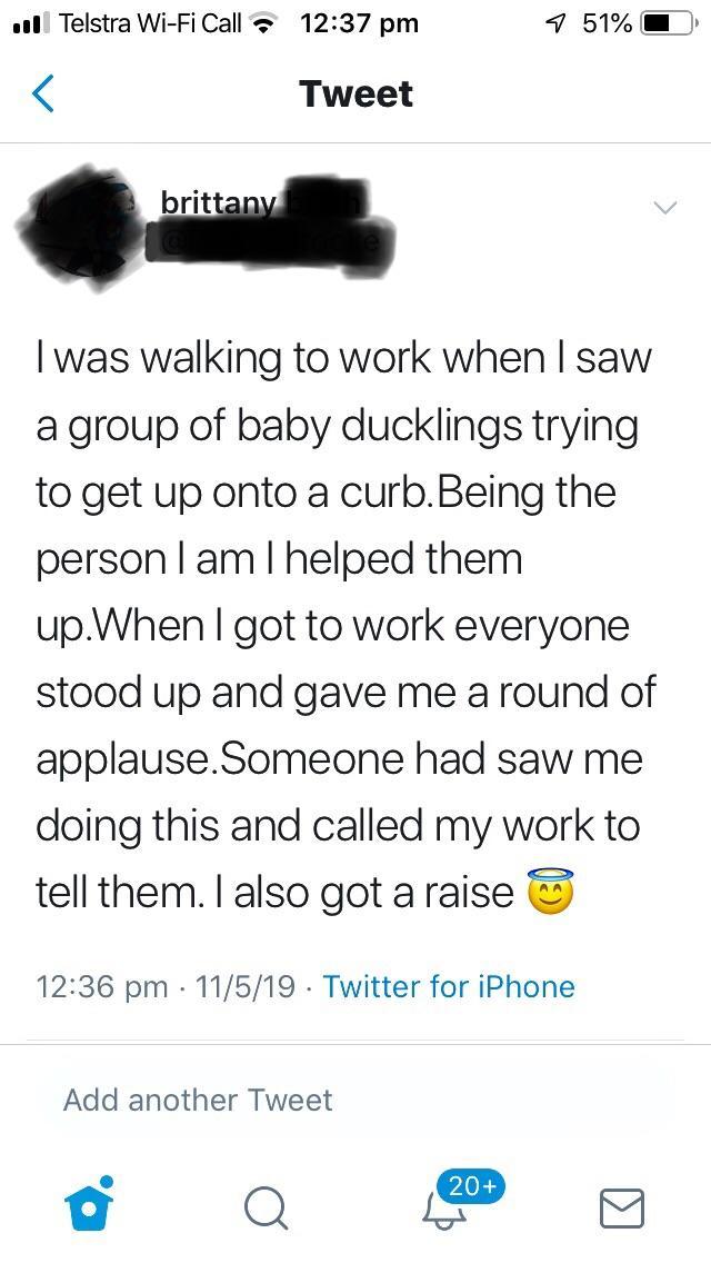 online liars- ull Telstra WiFi Call 7 51%O Tweet brittany I was walking to work when I saw a group of baby ducklings trying to get up onto a curb. Being the person I am I helped them up.When I got to work everyone stood up and gave me a round of applause.