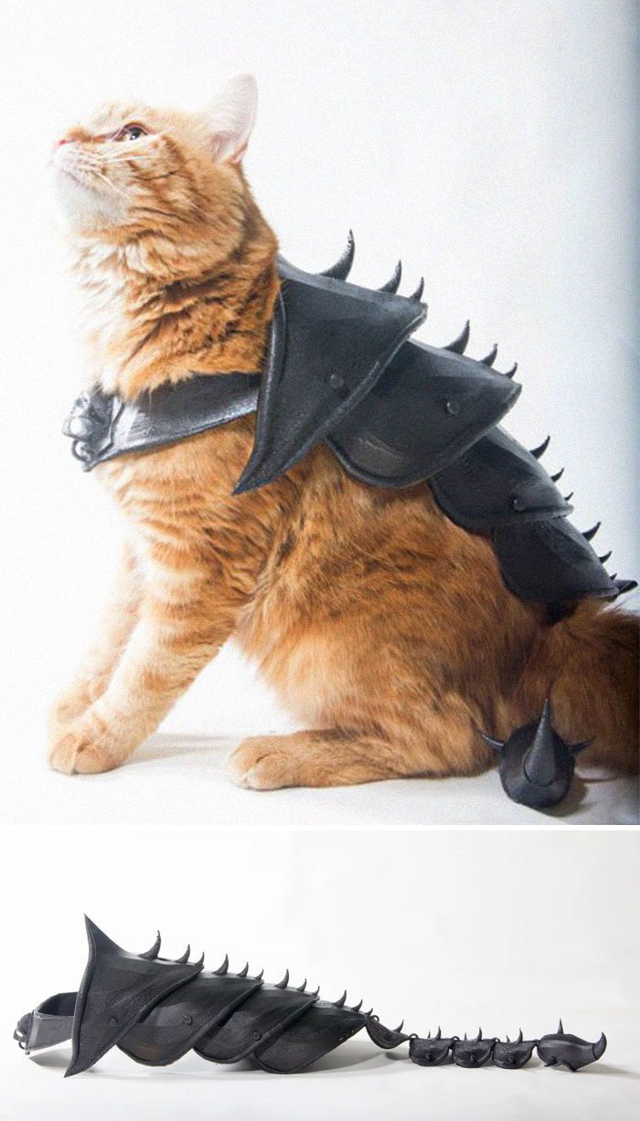 3d printed cat armor