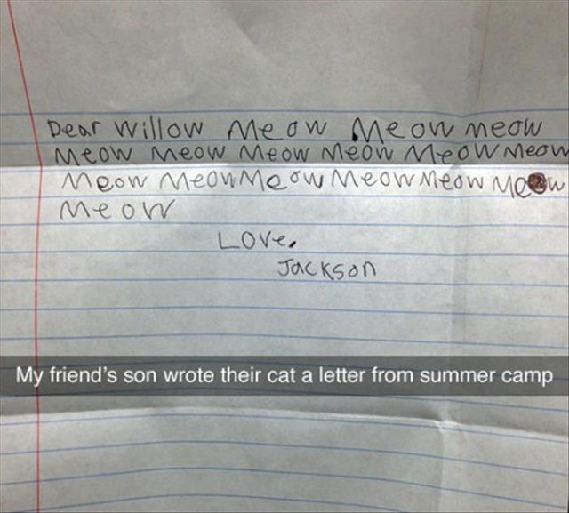handwriting - Dear Willow meow meow meow Meow meow meow meow meow meow Meow meow meow meow meow Mo Meow Love, Jackson My friend's son wrote their cat a letter from summer camp