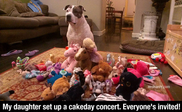 dog - nedhardy.com My daughter set up a cakeday concert. Everyone's invited!