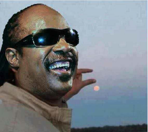 stevie wonder