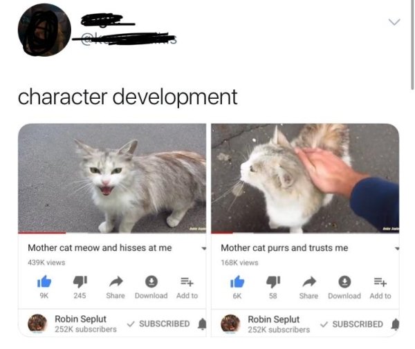 Cat - character development Mother cat purrs and trusts me Mother cat meow and hisses at me views Views 9K 245 Download Add to 6K 58 Download Add to Robin Seplut subscribers Subscribed Robin Seplut subscribers Subscribed