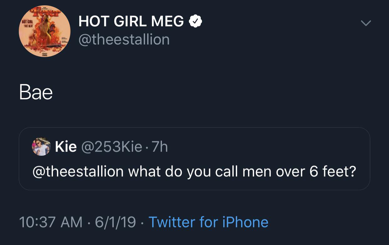 screenshot - Hot Girl Meg Bae Kie 7h what do you call men over 6 feet? 6119 Twitter for iPhone