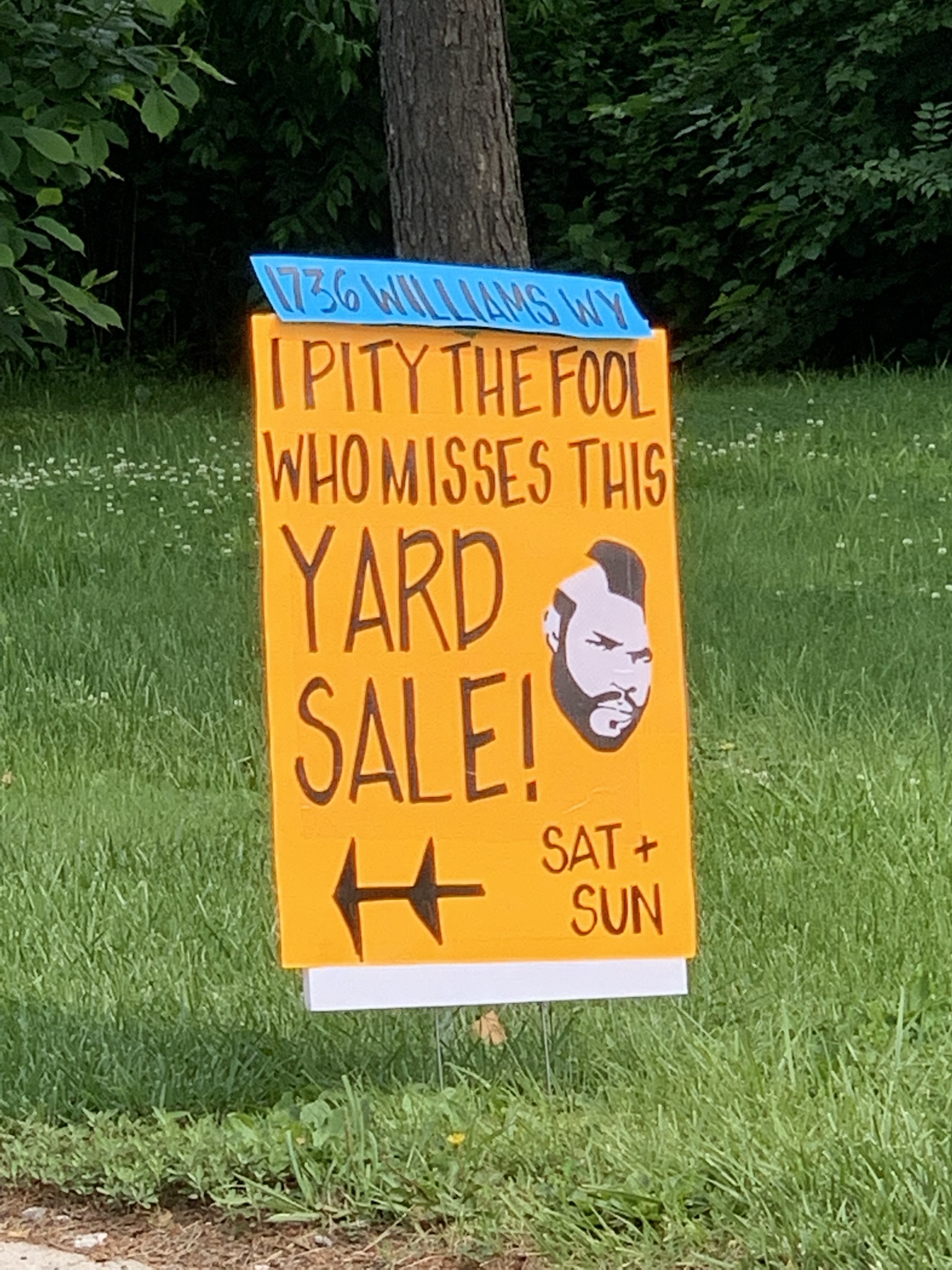 grass - 1136 Walansw I Pity The Foo Whomisses This Yard Sale Sat Sun
