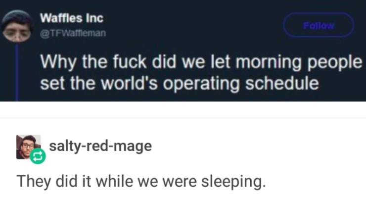 software - Waffles Inc Why the fuck did we let morning people set the world's operating schedule saltyredmage They did it while we were sleeping.