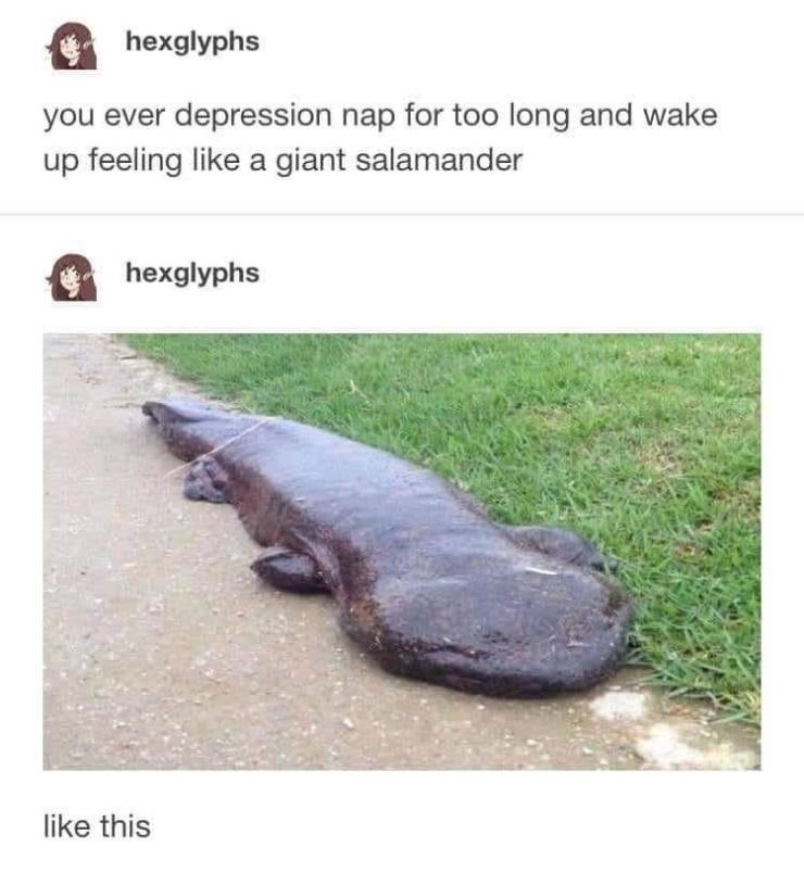 depression nap salamander - hexglyphs you ever depression nap for too long and wake up feeling a giant salamander hexglyphs this