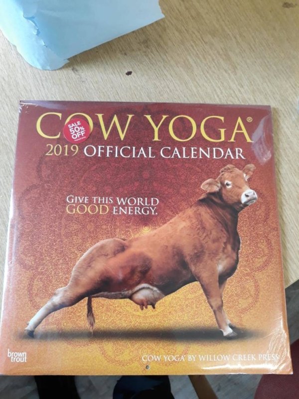wtf pics - dog - Cow Yoga 2019 Official Calendar Give This World Good Energy. brown Cow Yoga By Willow Creek Press
