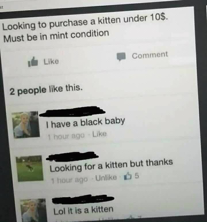 looking for a kitten but thanks - Looking to purchase a kitten under 10$. Must be in mint condition id Comment 2 people this. I have a black baby 1 hour ago Looking for a kitten but thanks 1 hour ago Un 5 Lol it is a kitten