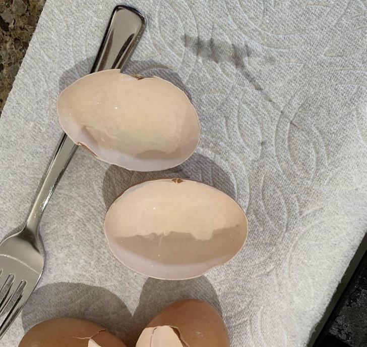 egg cracked into two perfect parts