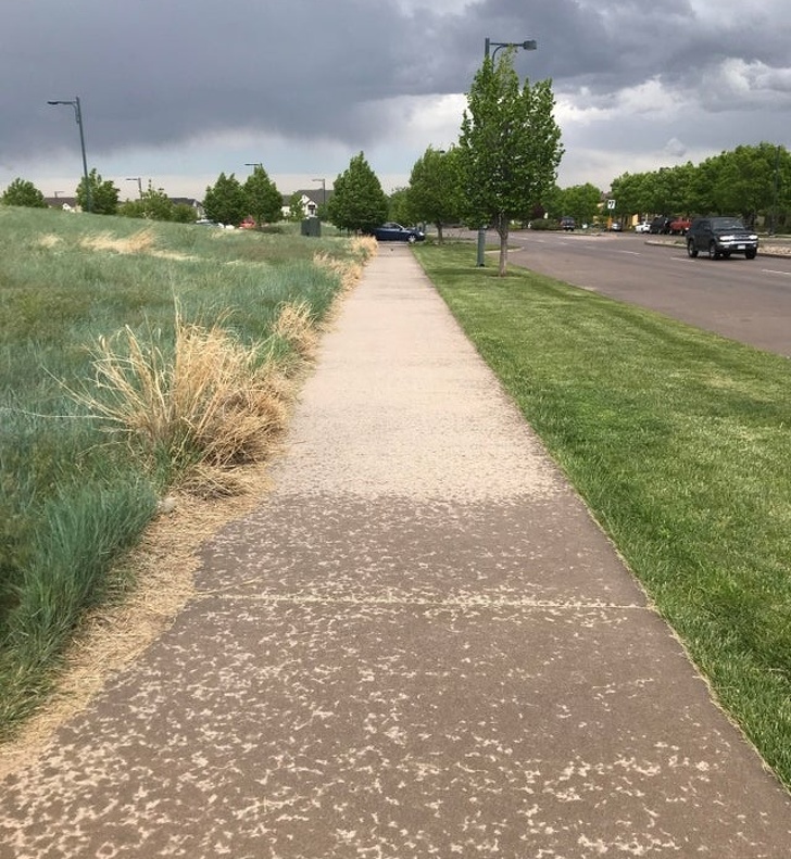 path where the rain stopped
