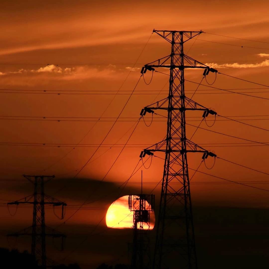 Animals avoid power lines because of ultraviolet light.