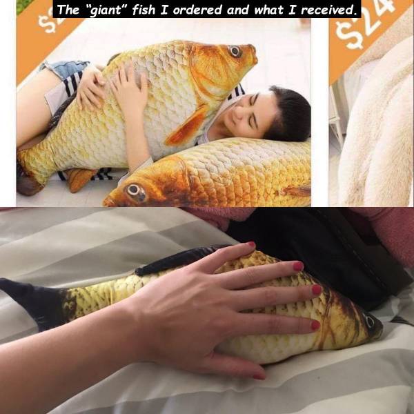 fish pillow wish - The "giant" fish I ordered and what I received.