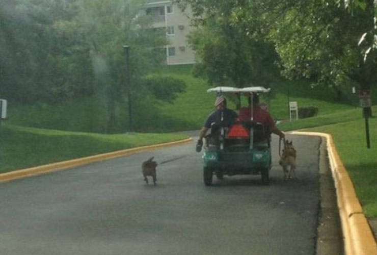 36 People who took the easy route through life.