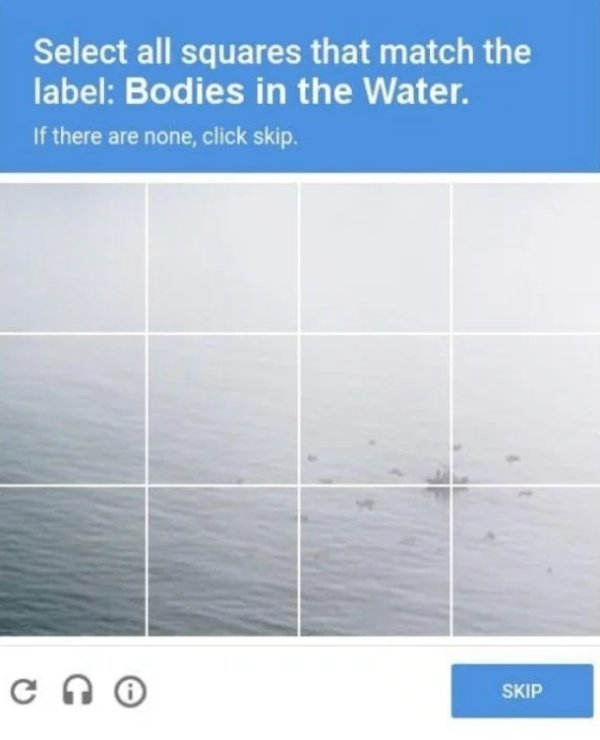cursed images - floor - Select all squares that match the label Bodies in the Water. If there are none, click skip. Skip