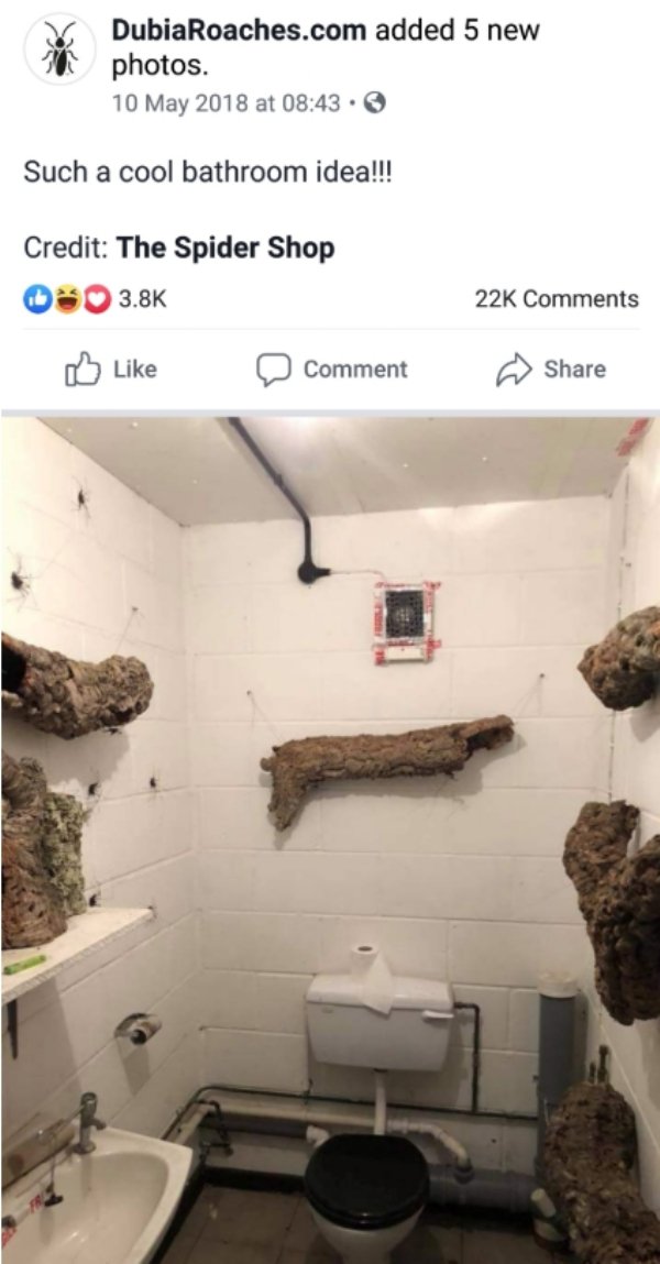 cursed images - whip spider bathroom - v DubiaRoaches.com added 5 new photos. at Such a cool bathroom idea!!! Credit The Spider Shop 0 22K Comment