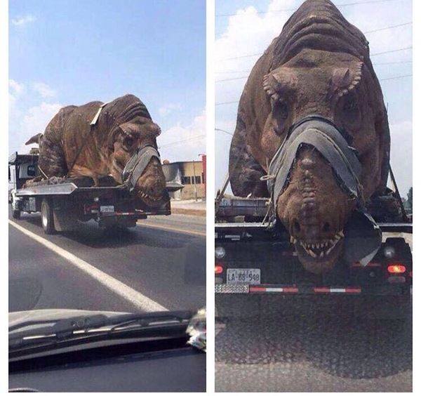 t rex tied to truck