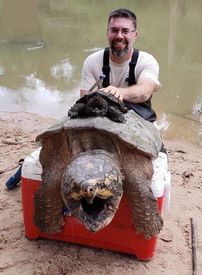 biggest alligator snapping turtle