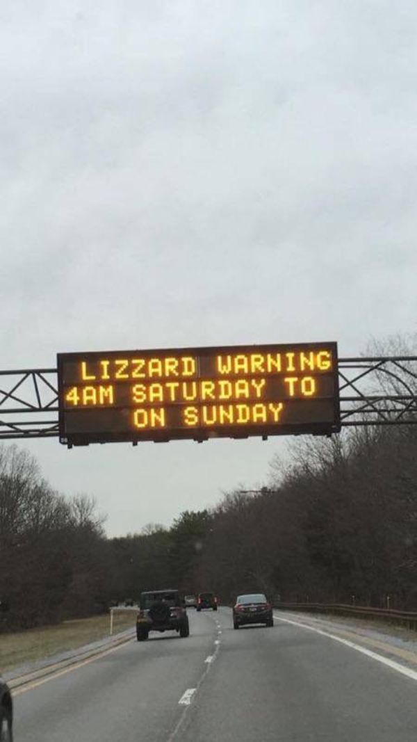 lizard warning - Lizzard Warning 4AM Saturday To On Sunday