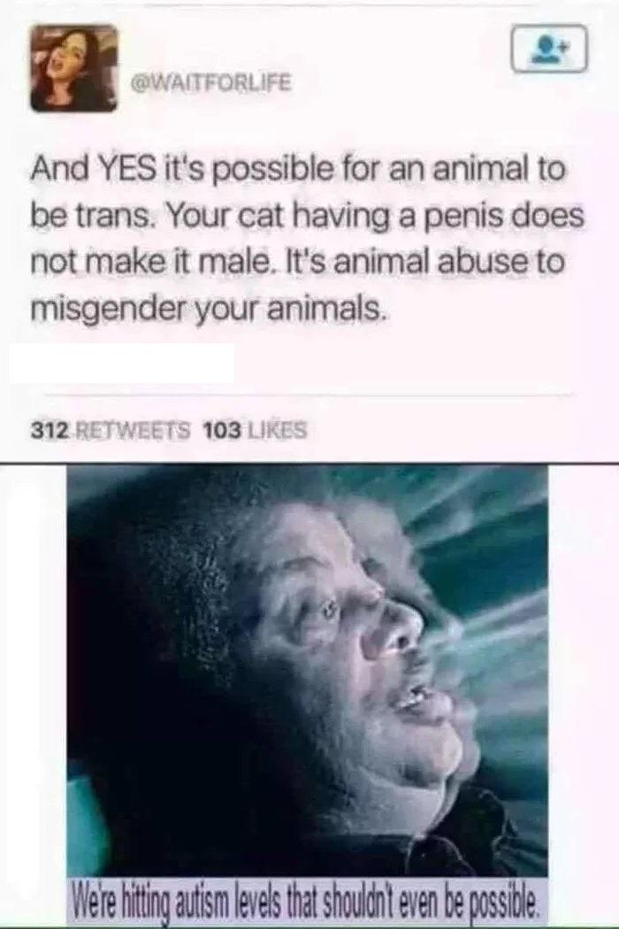 we re hitting autism levels meme - And Yes it's possible for an animal to be trans. Your cat having a penis does not make it male. It's animal abuse to misgender your animals. 312 103 Were hitting autism levels that shouldnt even be possible